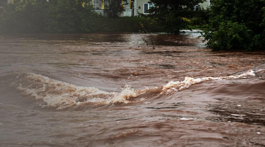 Why choose Water Restoration Services Pros for water damage restoration in Elberta, UT